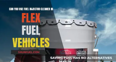 Flex Fuel Vehicle Maintenance: Injector Cleaner Solution