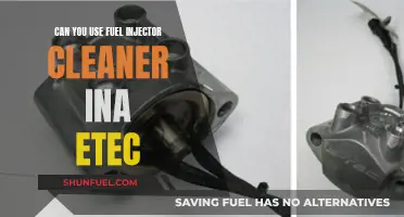 ETEC Engines and Fuel Injector Cleaners: Compatible?