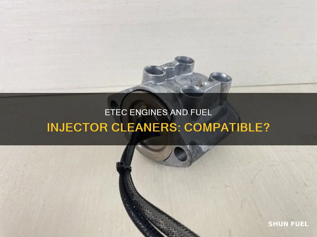 can you use fuel injector cleaner ina etec