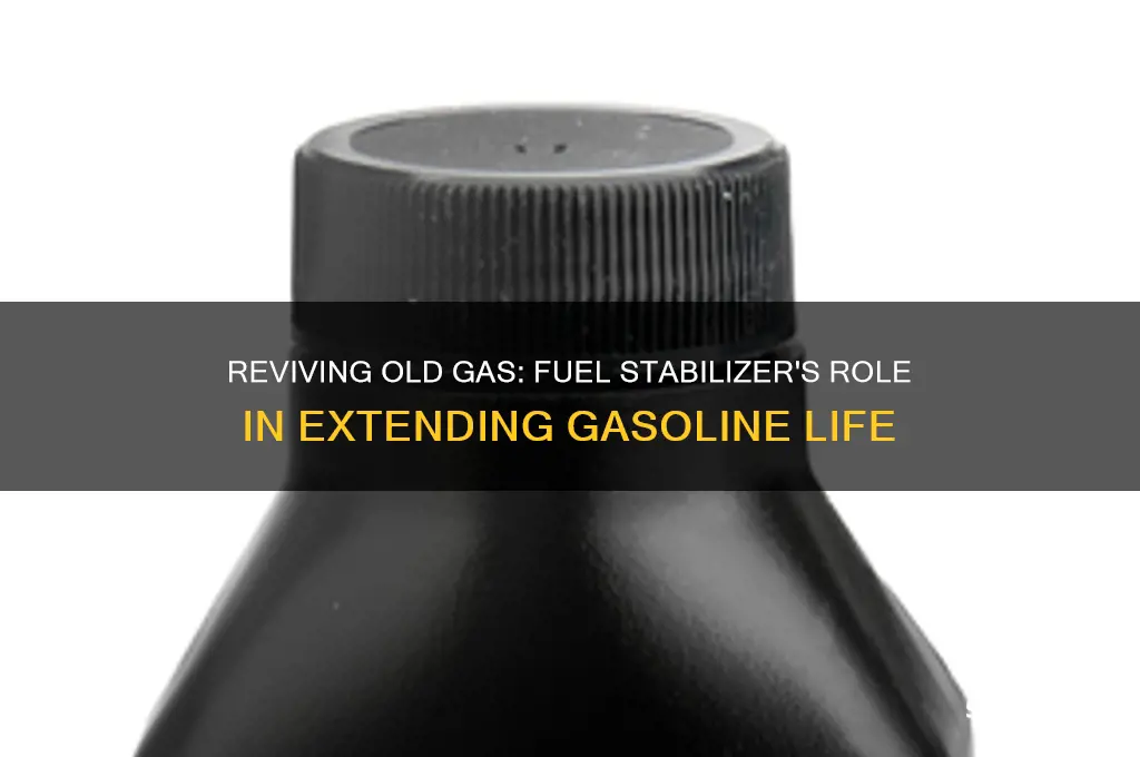 can you use fuel stabilizer on old gas