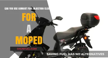 Gumout Fuel Injection Cleaner: Safe for Moped Engines?