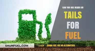 Heads or Tails as Fuel: Exploring Unconventional Energy Alternatives