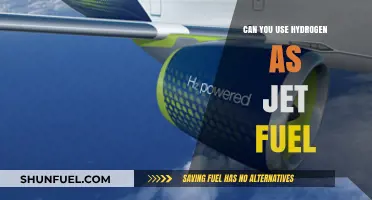 Hydrogen as Jet Fuel: Future of Aviation Sustainability?