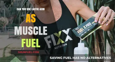 Lactic Acid as Muscle Fuel: Fact or Fitness Myth?