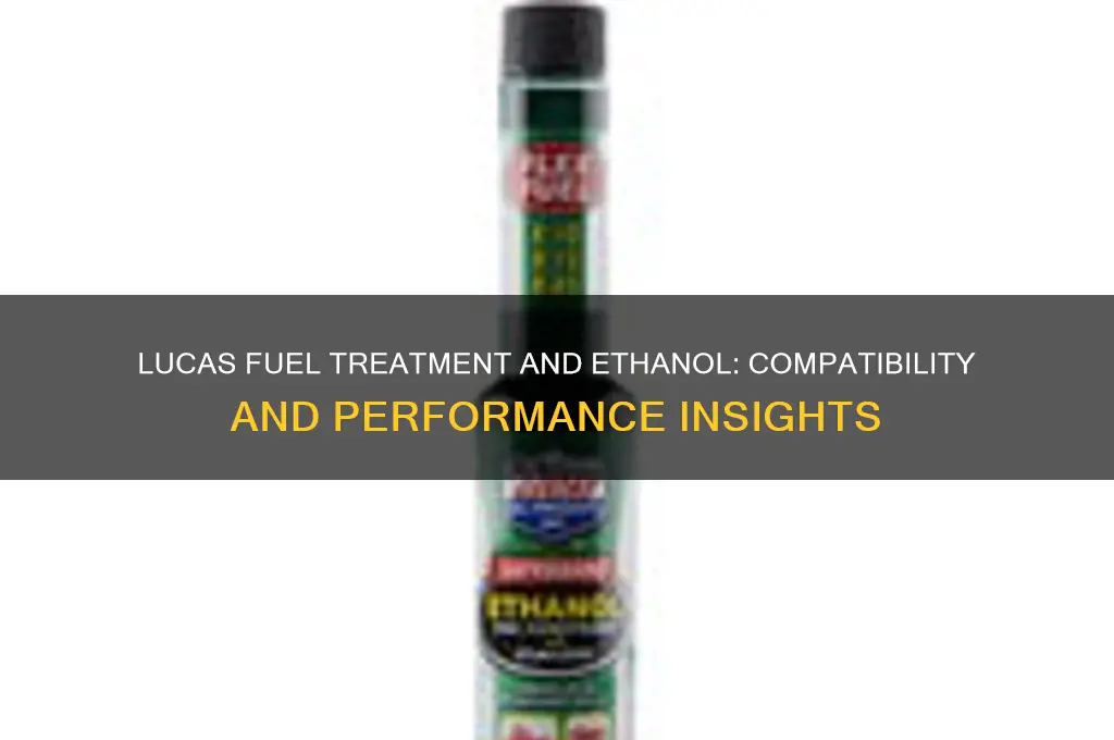 can you use lucas fuel treatment with ethanol