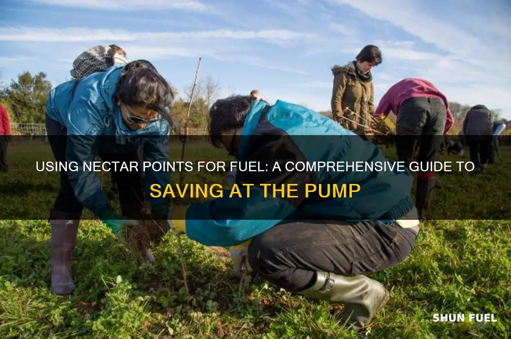 can you use nectar points for fuel