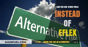 Exploring Alternative Fuels: Can They Replace eFlex in Your Vehicle?