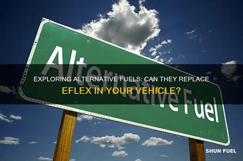can you use other fuels instead of eflex