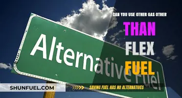 Exploring Alternative Gas Options Beyond Flex Fuel for Vehicles