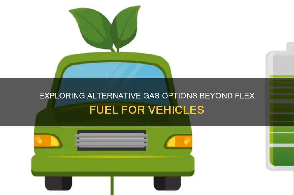 can you use other gas other than flex fuel