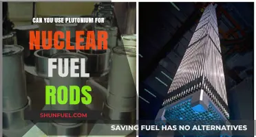Plutonium's Role in Nuclear Fuel Rods: Feasibility and Challenges