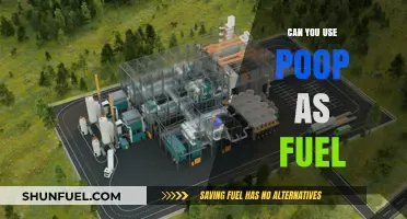 Turning Waste into Energy: Exploring Poop as a Sustainable Fuel Source