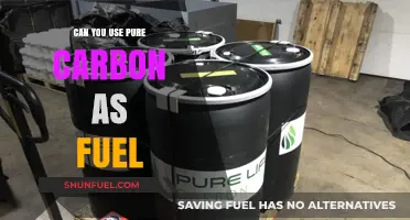 Pure Carbon as Fuel: A Viable Energy Alternative?