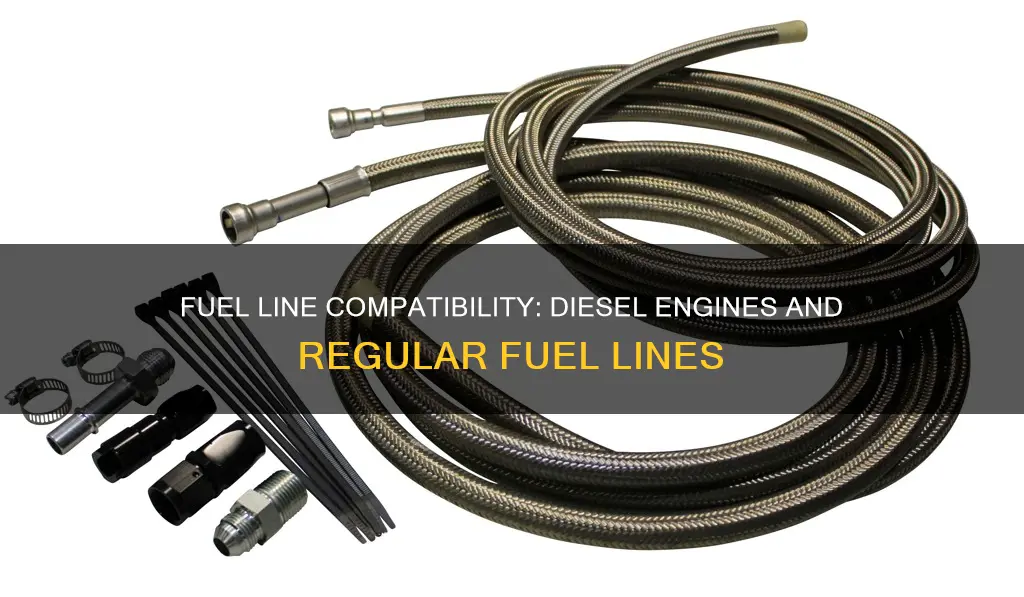can you use regular fuel line on a diesel engine