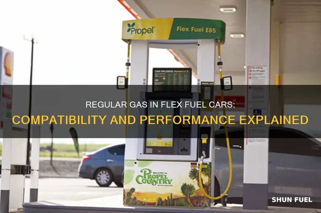 can you use regular gas flex fuel car