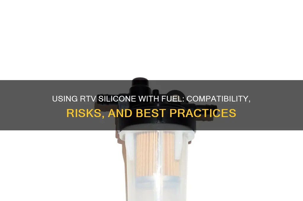can you use rtv with fuel