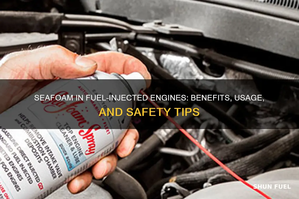 can you use seafoam on fuel injected engines