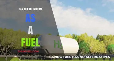 Exploring Sodium as a Fuel: Potential, Challenges, and Future Possibilities