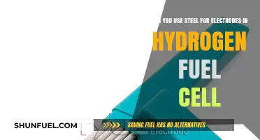 Steel Electrodes in Hydrogen Fuel Cells: Feasibility and Performance Insights
