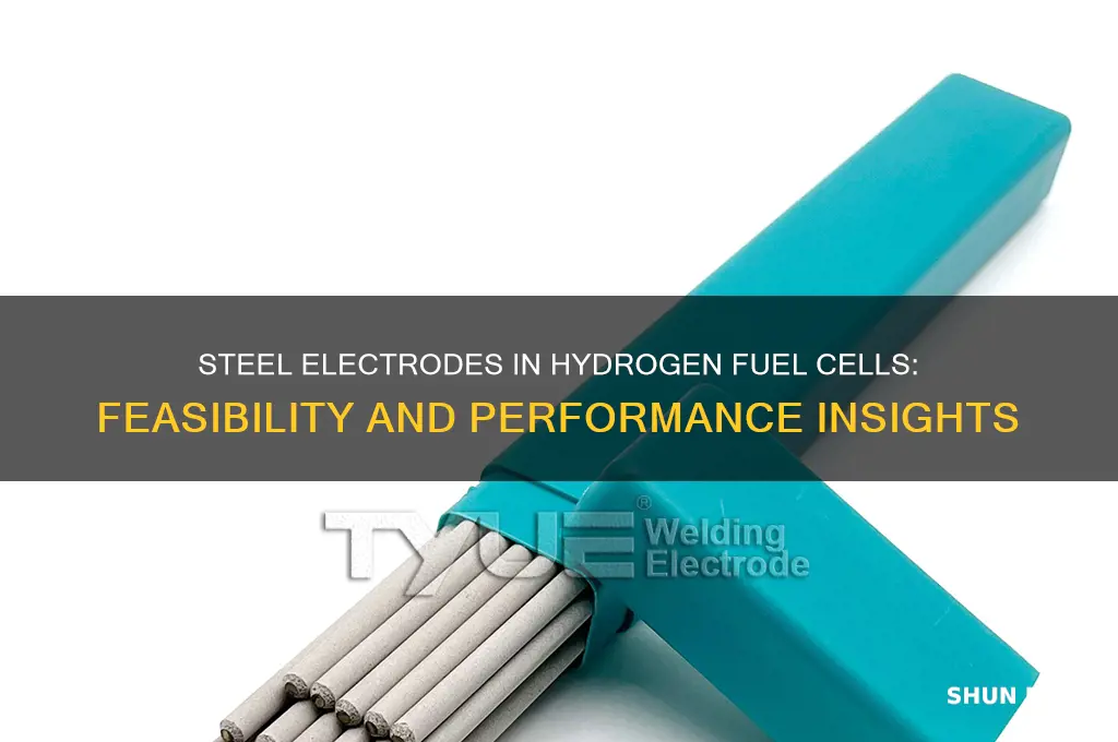 can you use steel for electrodes in hydrogen fuel cell