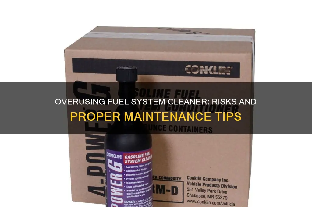 can you use too much fuel system cleaner