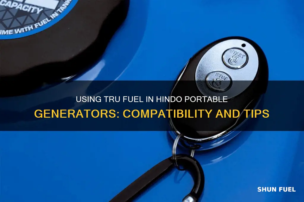 can you use tru fuel in a hindo portable generator