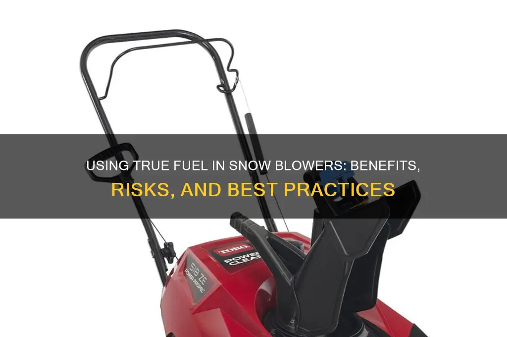 can you use true fuel in snow blowers