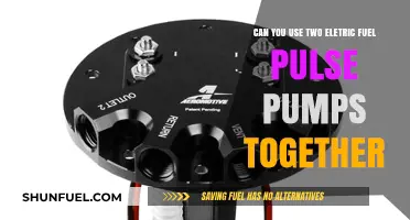 Combining Electric Fuel Pulse Pumps: Dual Setup Possibilities Explored