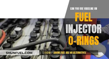 Vaseline for Fuel Injector O-Rings: Safe or Not?