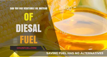 Vegetable Oil as Diesel Alternative: Feasibility, Benefits, and Risks