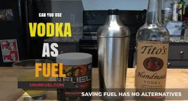 Vodka as Fuel: Fact or Fiction? Exploring Alternative Energy Options