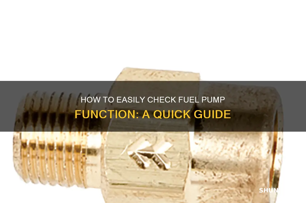 can you usely check fuel pump function