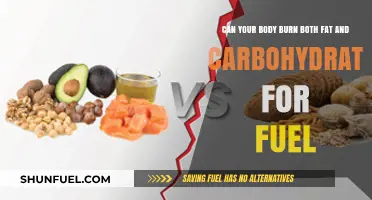 Fat vs. Carbs: How Your Body Chooses Fuel for Energy
