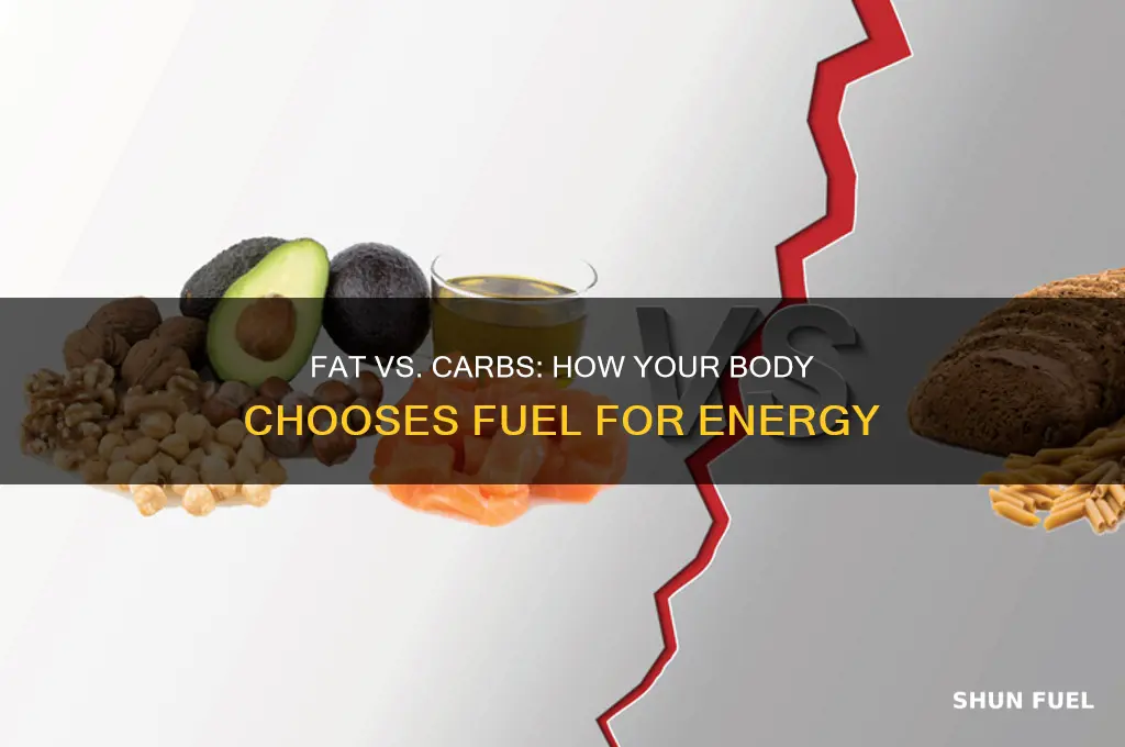 can your body burn both fat and carbohydrates for fuel