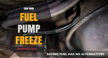 Can Your Fuel Pump Freeze? Understanding Winter Fuel System Issues