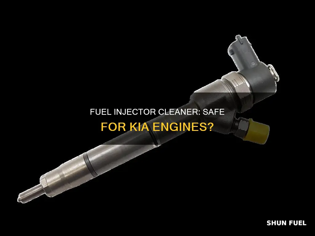 can yoy put fuel injector cleaner in a kia
