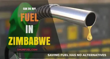 Can Zig Purchase Fuel in Zimbabwe? Exploring Payment Options and Challenges