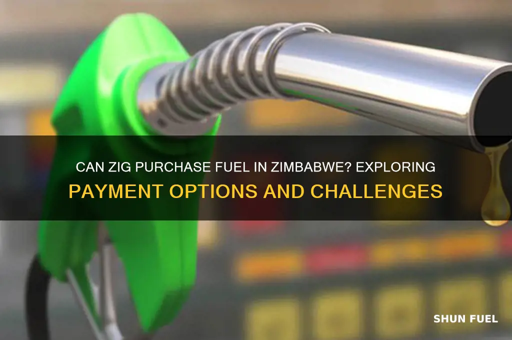 can zig buy fuel in zimbabwe