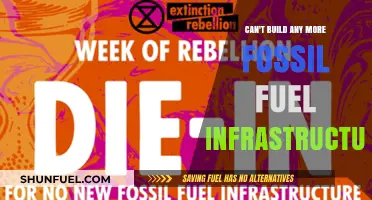 The Fossil Fuel Era: Infrastructure at a Crossroads