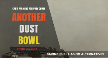 Farming for Fuel: Risks of Repeating the Dust Bowl Era?