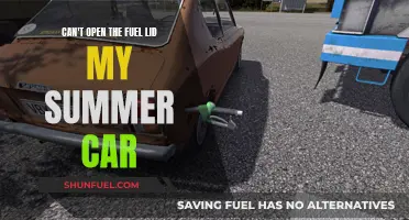 Fuel Lid Woes: My Summer Car Conundrum