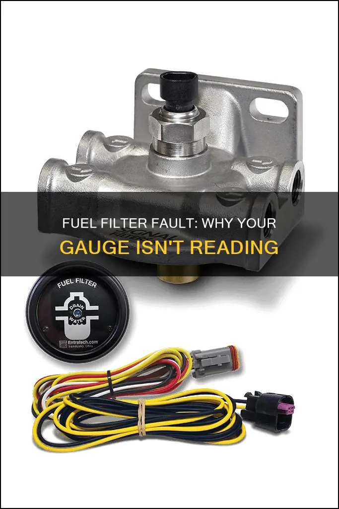 could a fuel filter cause the gauge not to read