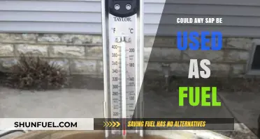 Exploring Sap as Fuel: Which Types Can Power Our Future?