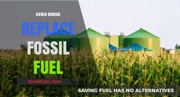 Biogas: The Sustainable Alternative to Fossil Fuels?