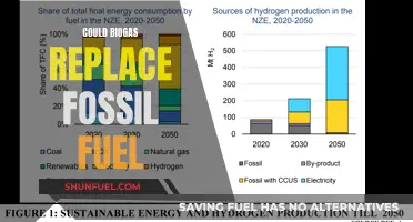 Biogas: A Sustainable Alternative to Fossil Fuels?