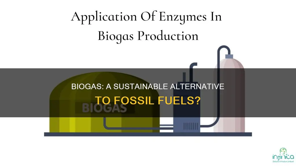 could biogas replace fossil fuel