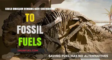 Dinosaur Remains: The Origin of Fossil Fuels?