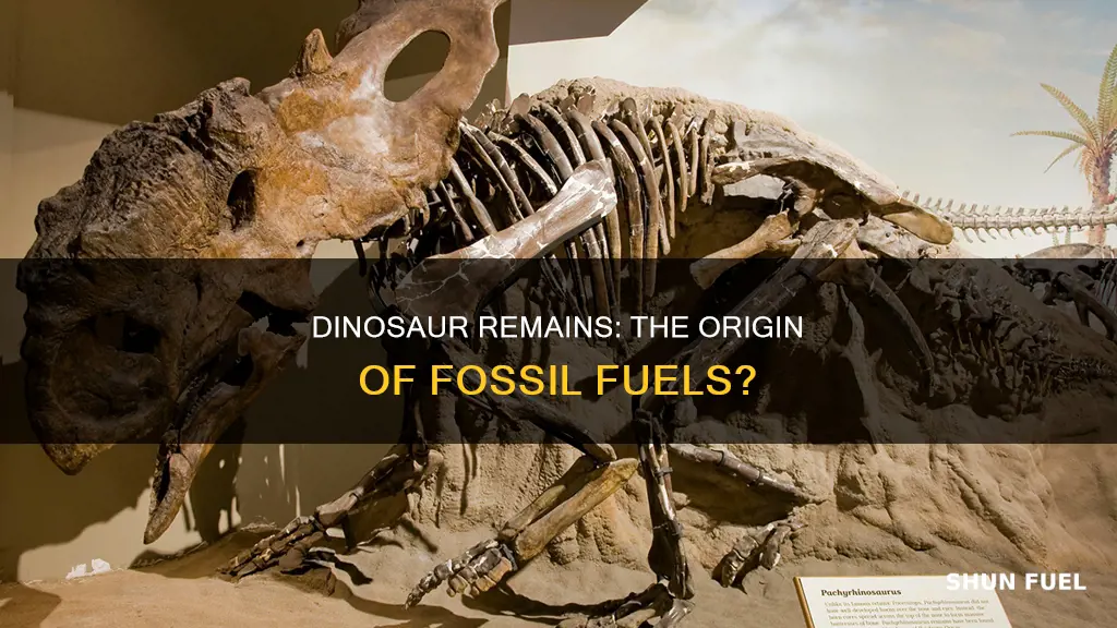 could dinosaur remains have contributed to fossil fuels