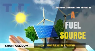Electromagnetism as Fuel: Unlocking a Sustainable Energy Future?