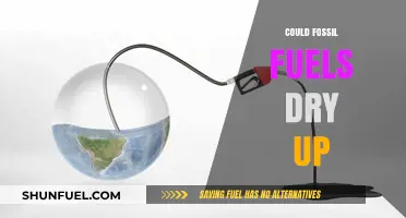 The World Without Fossil Fuels: A Looming Reality?